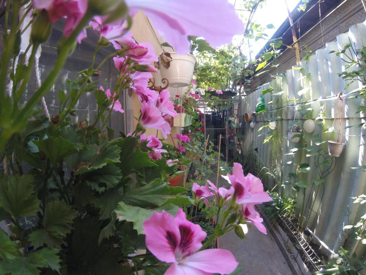 Casa Milly Constanta 아파트 외부 사진